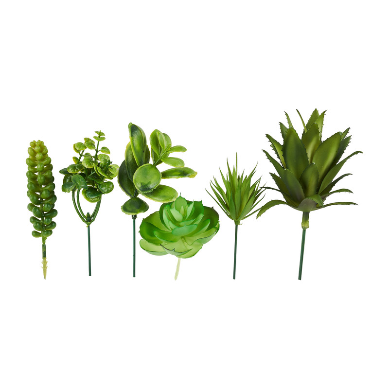 Planten takjes - set van 6