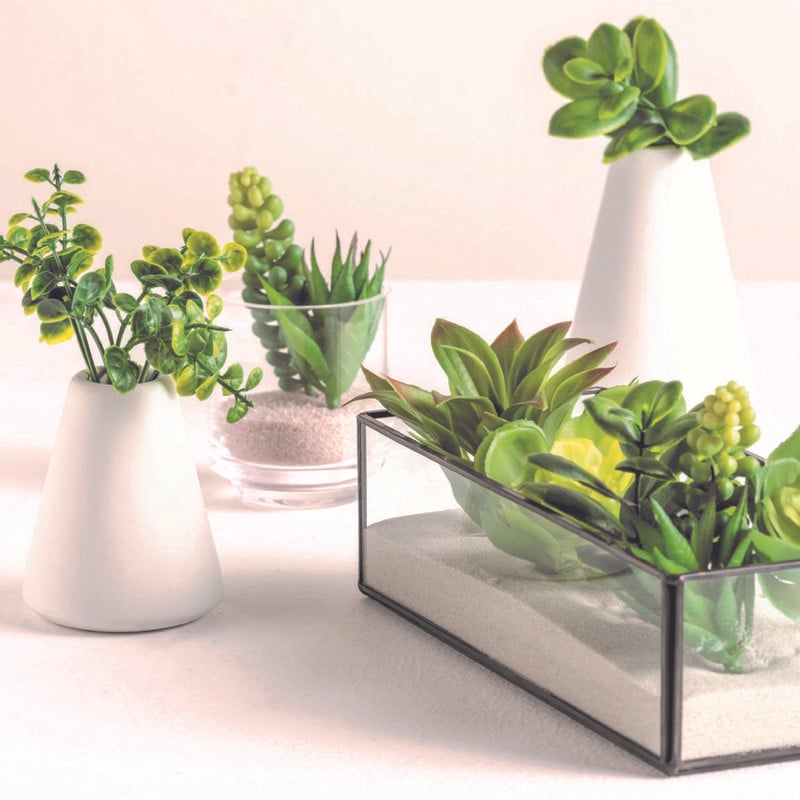 Planten takjes - set van 6