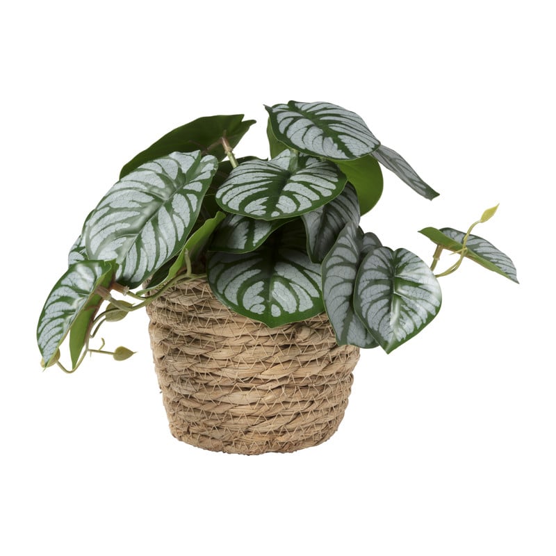 Kunstplant in zeegras pot - ø12.5x19 cm 