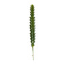 Cactus op prikker - 4x4x31 cm - diverse varianten