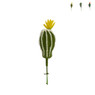 Cactus bol op prikker -6x6x18 cm - diverse varianten