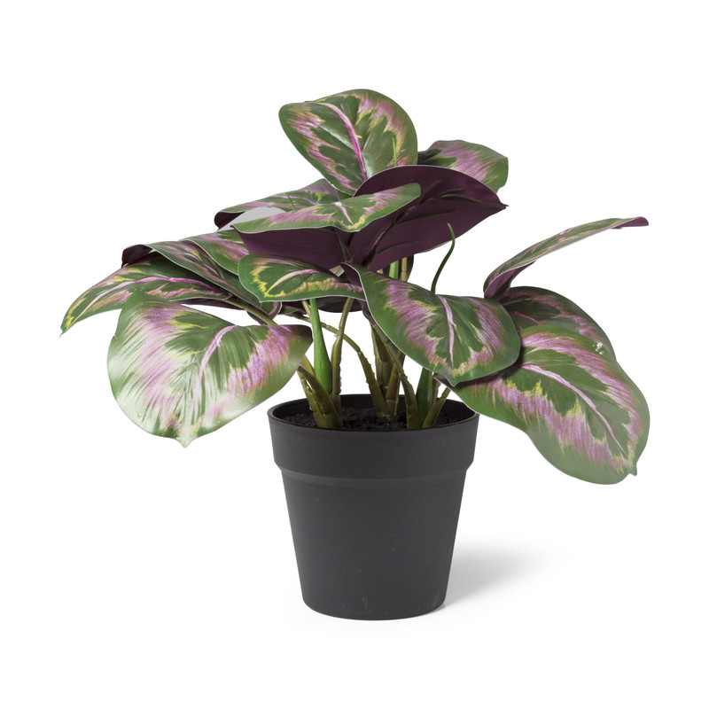 Kunstplant met roze bladeren - 40 cm