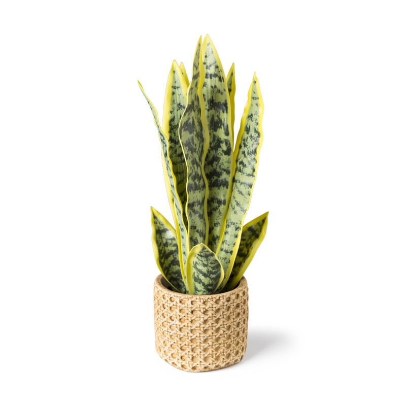 Sanseveria kunstplant - 33 cm