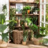 Kunstplant aloe vera - 28 cm