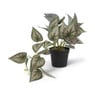 Kunstplant met roze bladeren - 30 cm