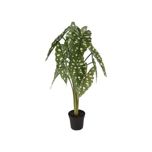 Kunstplant alocasia - 80 cm 