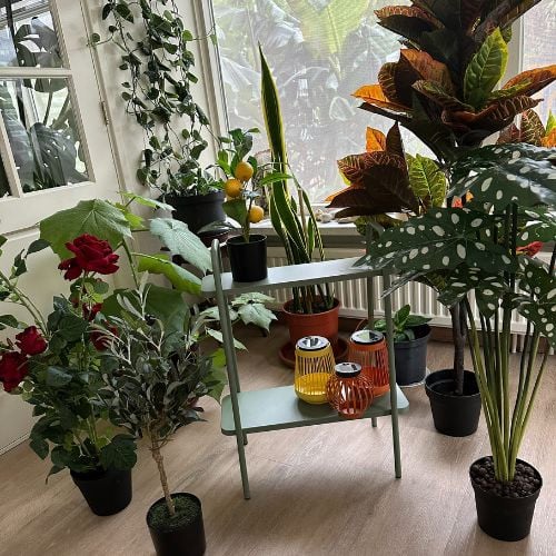 Kunstplant alocasia - 80 cm 