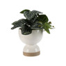 Kunstplant in pot - caladium - 24 cm