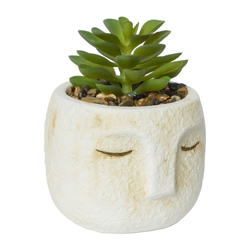 Vetplant mummie - diverse varianten -ø8.5x11 cm