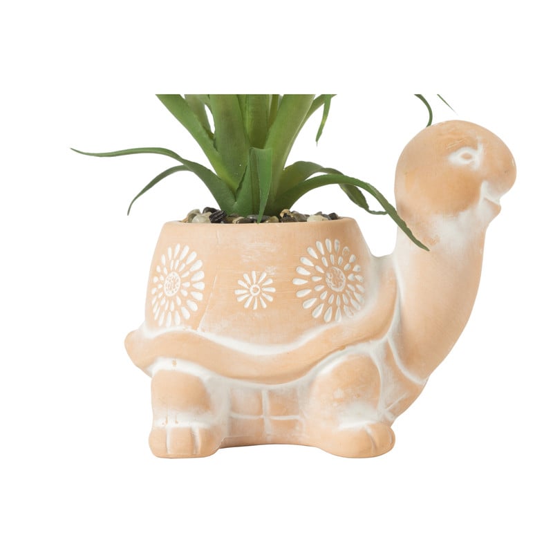 Plant in schildpad pot - 13.5x10.5x15 cm