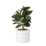 Plant in pot ribbel - diverse varianten - ø12x27 cm