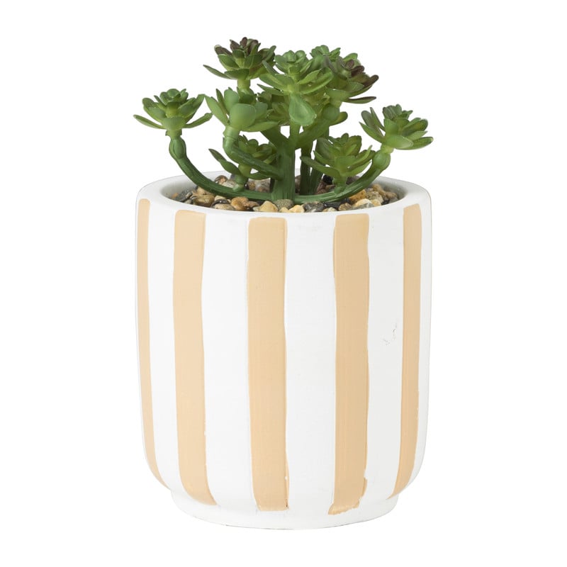 Plant in bloempot met strepen - diverse varianten - ø8x14 cm