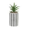 Plant in pot streep hoog - ø7.5x21 cm
