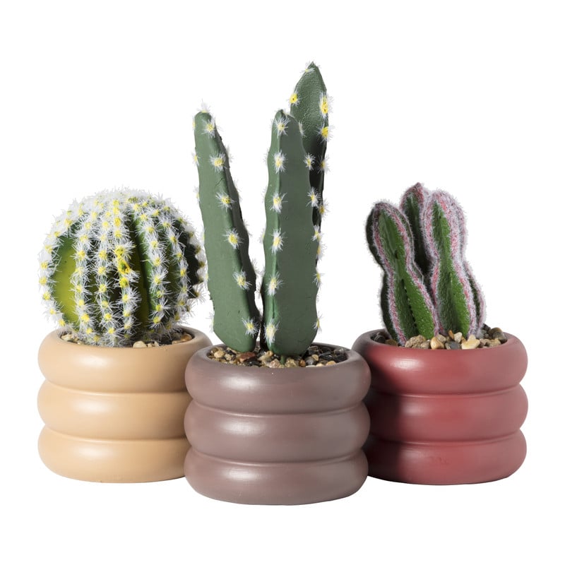 Cactus in pot hoog - ø9x20.9 cm