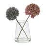 Glazen vaasje met allium bloem - roze/paars - 18x14x8 cm