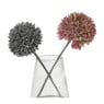 Glazen vaasje met allium bloem - roze/paars - 18x14x8 cm