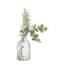 Glazen vaasje met eucalyptus - groen - 28x24x12 cm