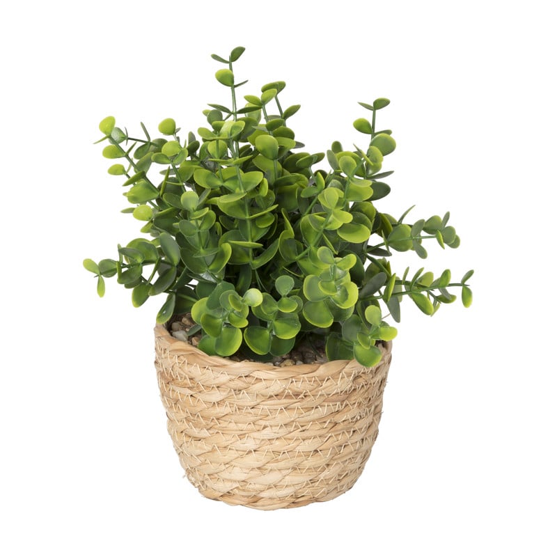 Plantje in rieten mand - rond blad - ø10x19 cm