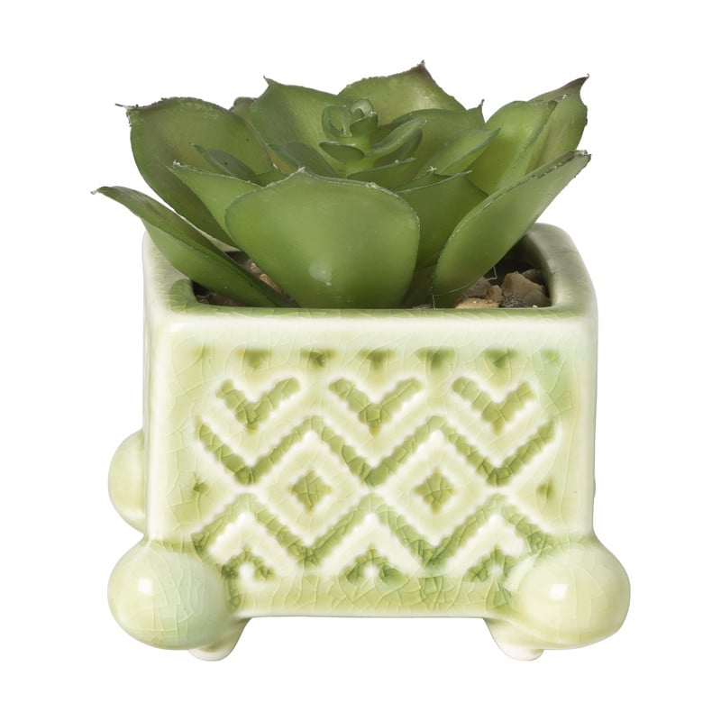 Vetplantje in pot - groen - 12x7x7 cm