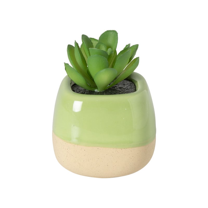 Vetplantje in pot - oranje - 8x6.5x6.5 cm
