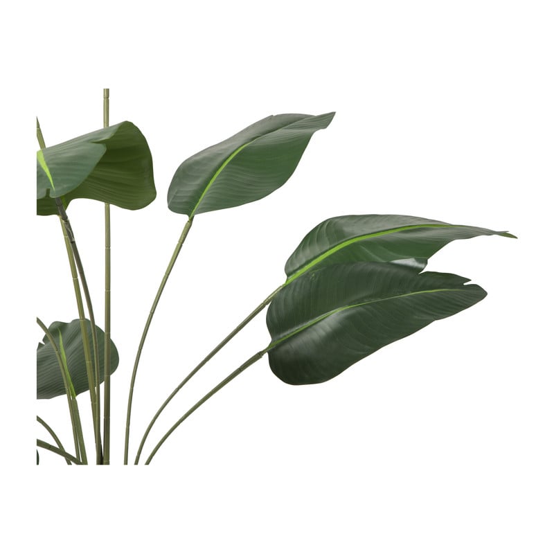 Kunstplant strelitzia - 160 cm