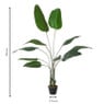Kunstplant strelitzia - 160 cm