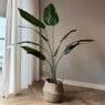 Kunstplant strelitzia - 160 cm