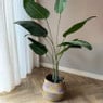Kunstplant strelitzia - 160 cm