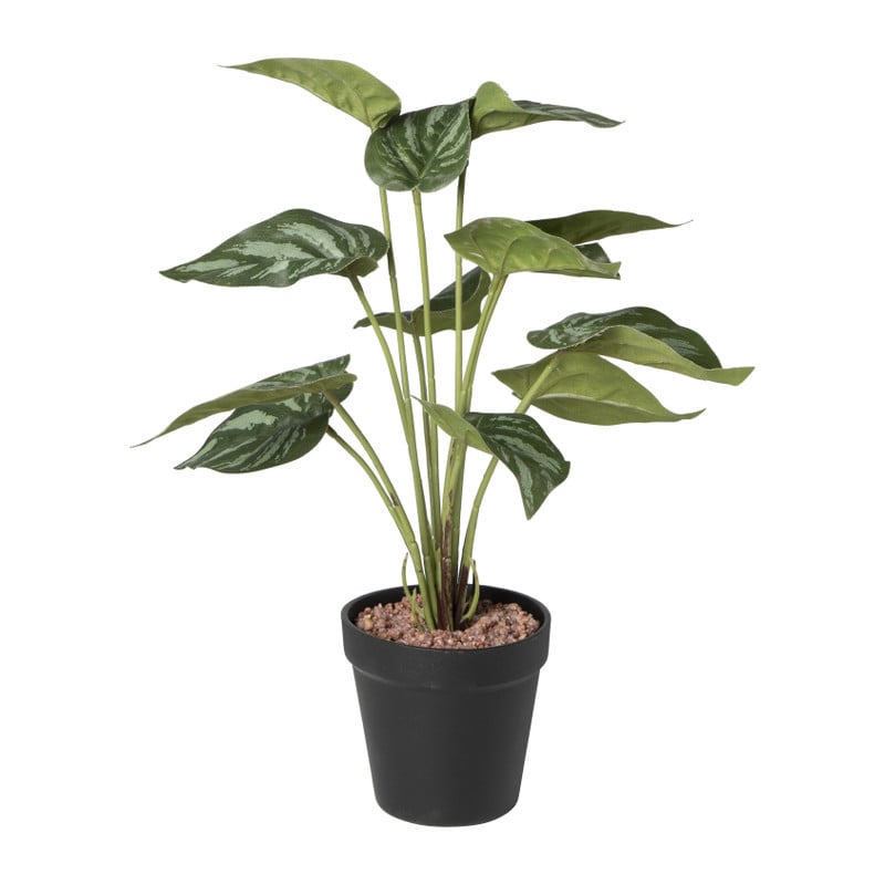 Kunstplant syngonium - 36 cm