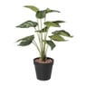 Kunstplant syngonium - 36 cm