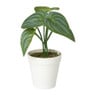 Kunstplant mini syngonium - 13 cm