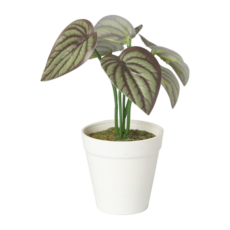 Kunstplant mini syngonium - rood - 13 cm