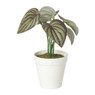 Kunstplant mini syngonium - rood - 13 cm