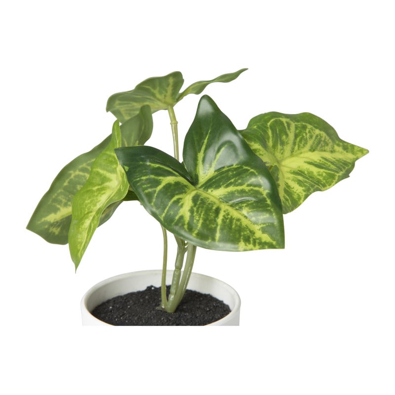 Kunstplant syngonium - 16 cm