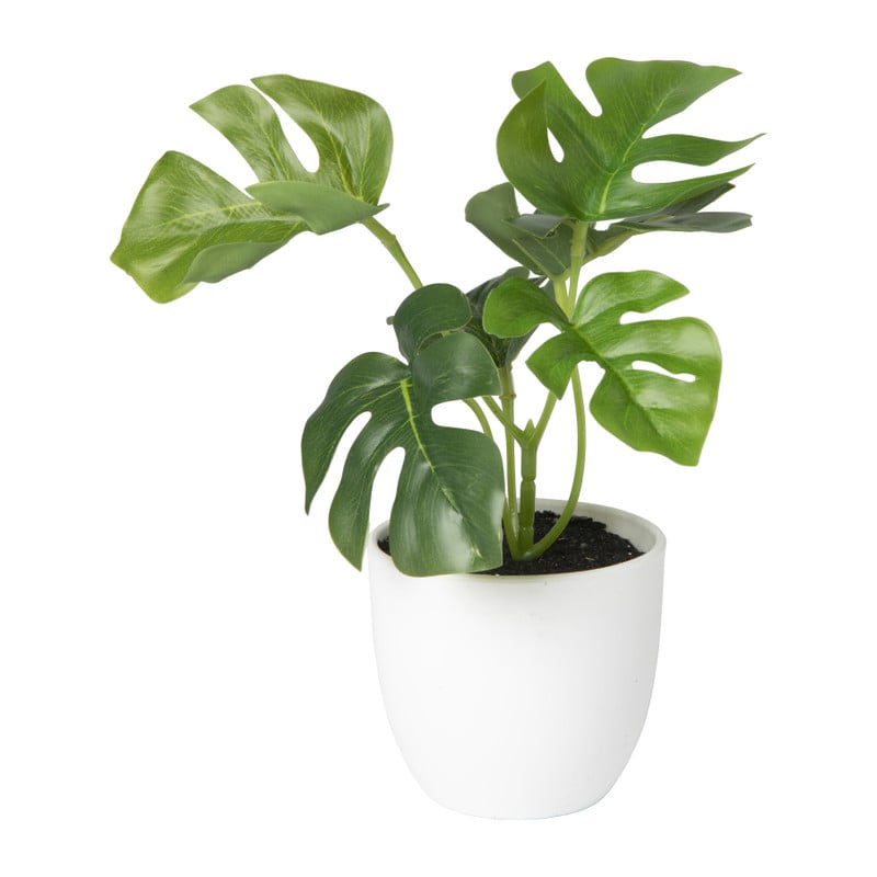 Kunstplant monstera - 16 cm