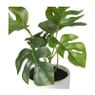 Kunstplant monstera - 16 cm