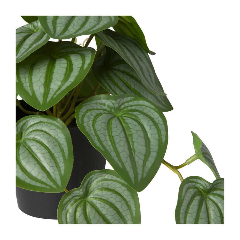 Kunstplant peperomia - 17 cm