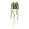 Kunstplant erwtenplantje in pot - groen/zwart - 53 cm