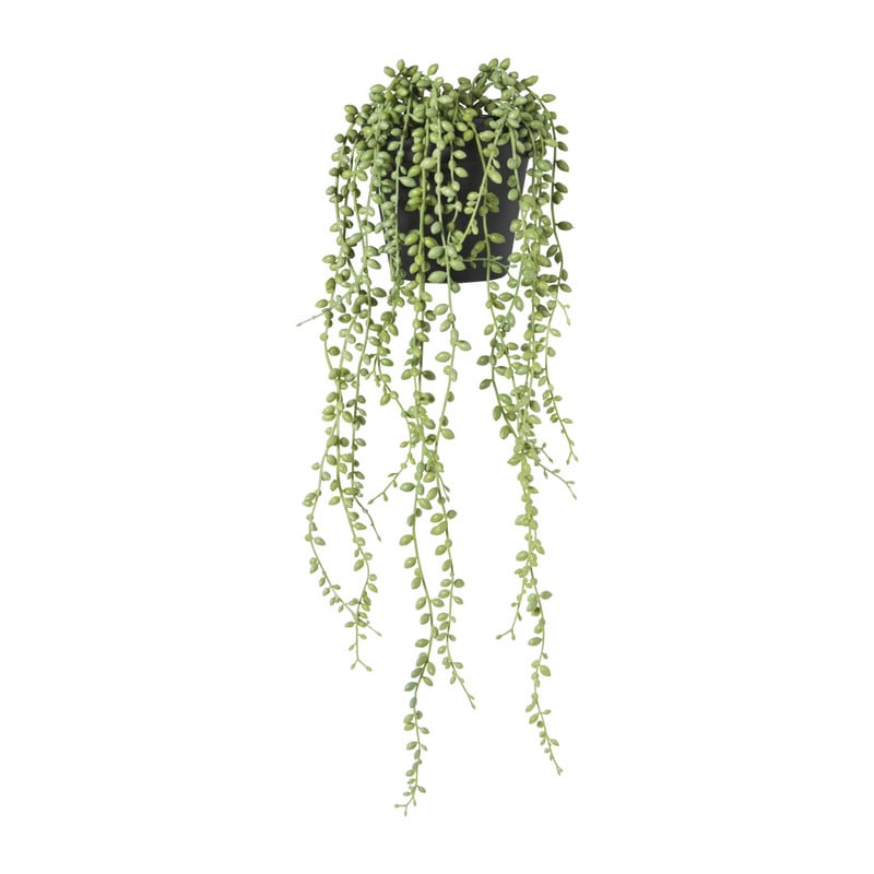 Kunstplant erwtenplantje in pot - groen/zwart - 53 cm