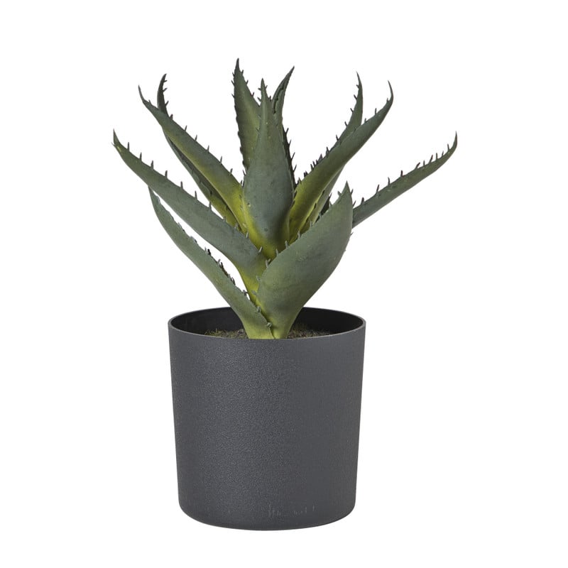Kunstplant aloe vera in pot - groen/zwart - 25 cm