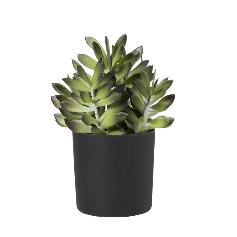 Kunstplant crassula in pot - groen/zwart - 25 cm