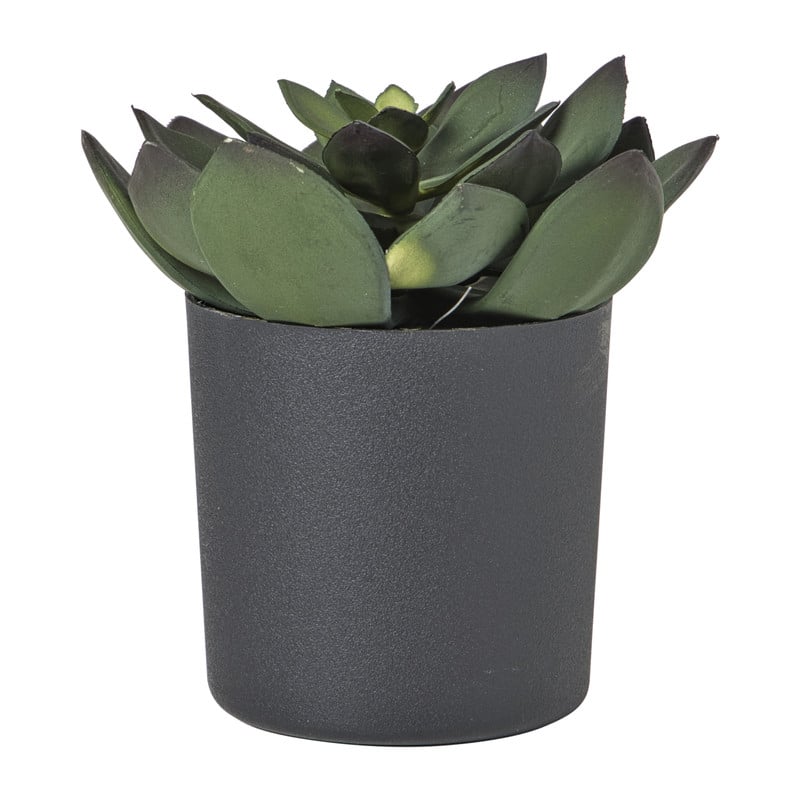 Kunstplant vetplant  in pot - groen/zwart - 25 cm