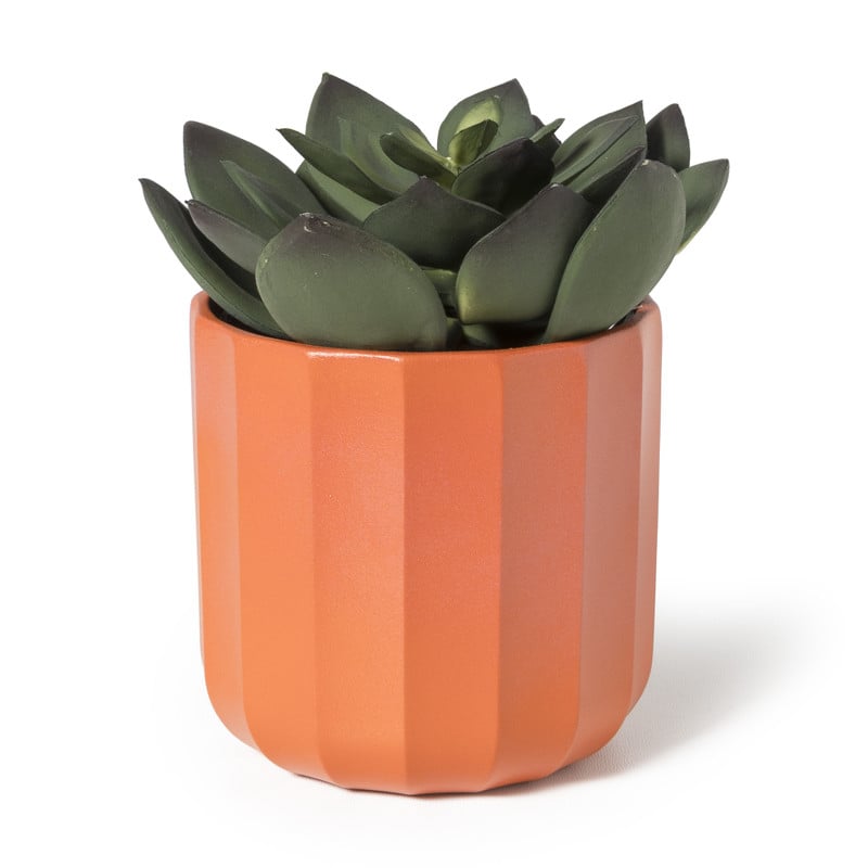 Kunstplant vetplant  in pot - groen/zwart - 25 cm