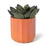 Kunstplant vetplant  in pot - groen/zwart - 25 cm