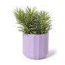 Kunstplant conifeer in pot - groen/zwart- 25 cm