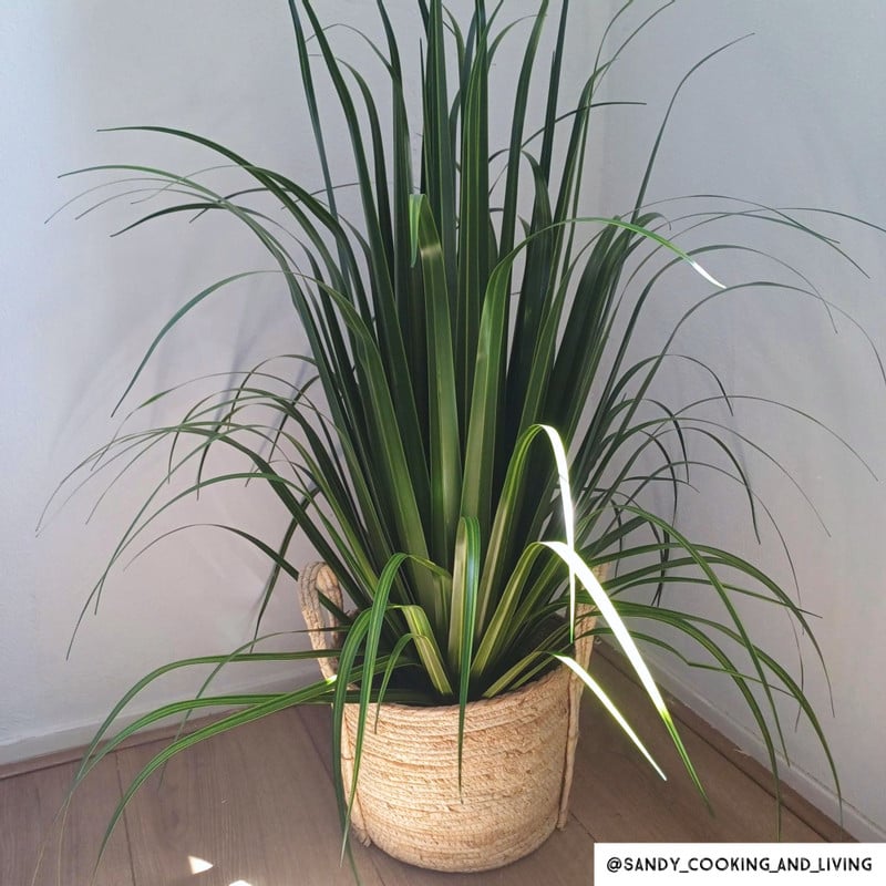 Kunstplant pluimen - groen - 94 cm