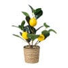 Kunst citroenboom klein - groen/geel - 28 cm