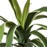 Kunstplant palm op lange steel - groen - ø15x90 cm