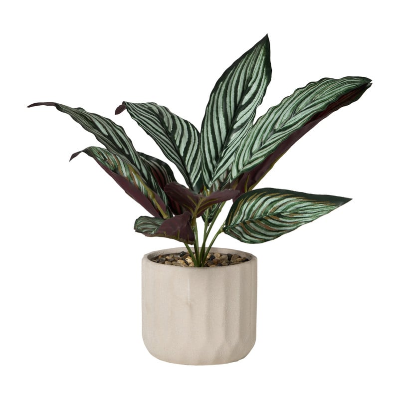 Plant in pot - ø10.5x26 cm - diverse varianten