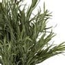Lavendel plantje in pot - groen -  ø16x24 cm